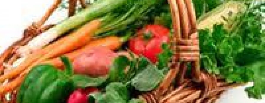 Basket of Vegetables