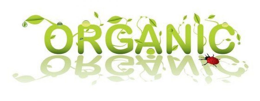 (c) Can Stock Photo / Nicemonkey