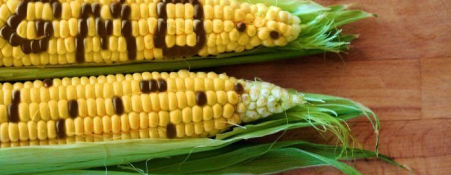 (c) Can Stock Photo / nevarpp